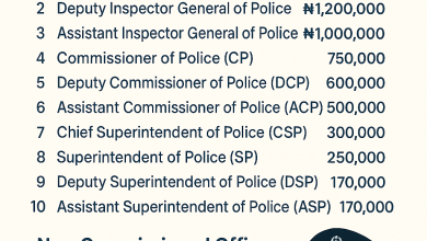 Nigeria Police Ranks and Monthly Salaries